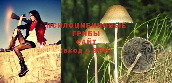 2c-b Богородицк