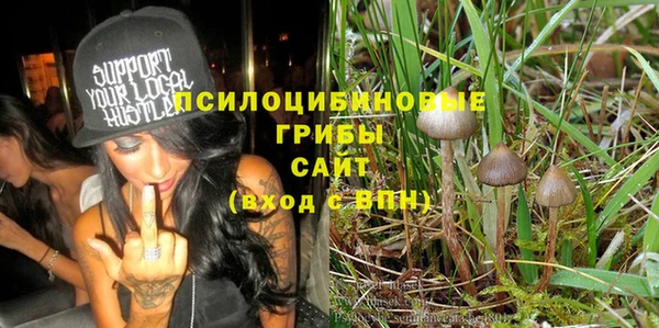 2c-b Богородицк